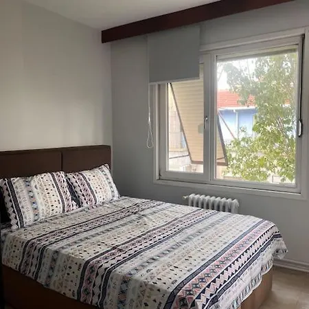 Appartement Spacious Flat With Wide View Istanboel