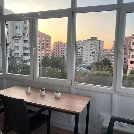 Spacious Flat With Wide View *