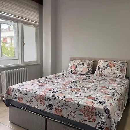Daire Spacious Flat With Wide View İstanbul